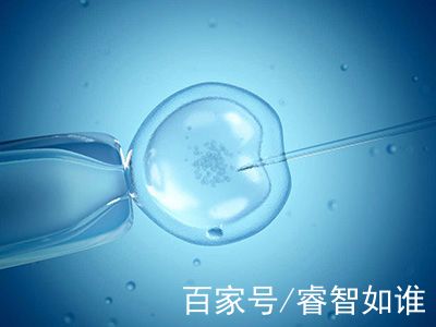 冷冻储存
